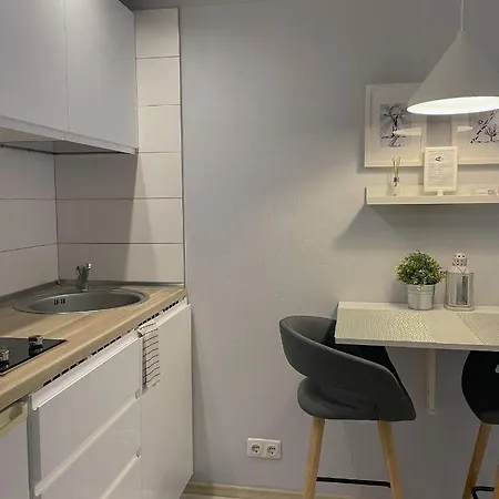 Apartment Miegu - Apartments Druskininkai