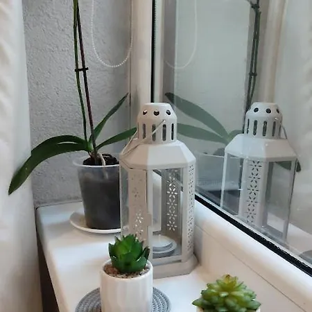 Apartment Miegu - Apartments Druskininkai