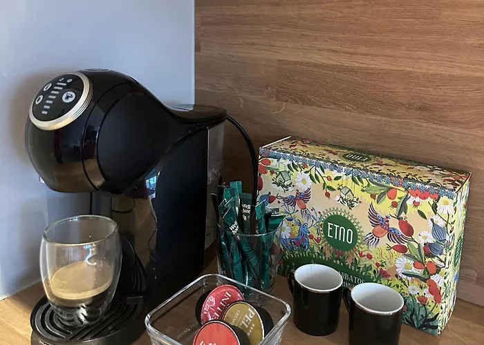 Miegu - Daire Druskininkai