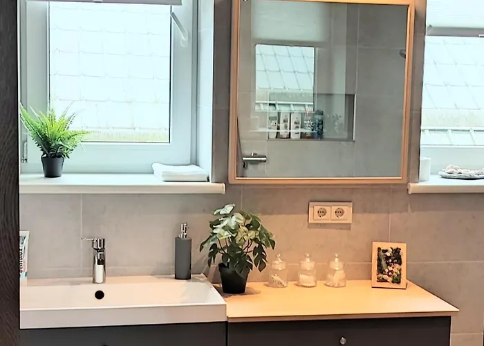 Daire Miegu - Druskininkai