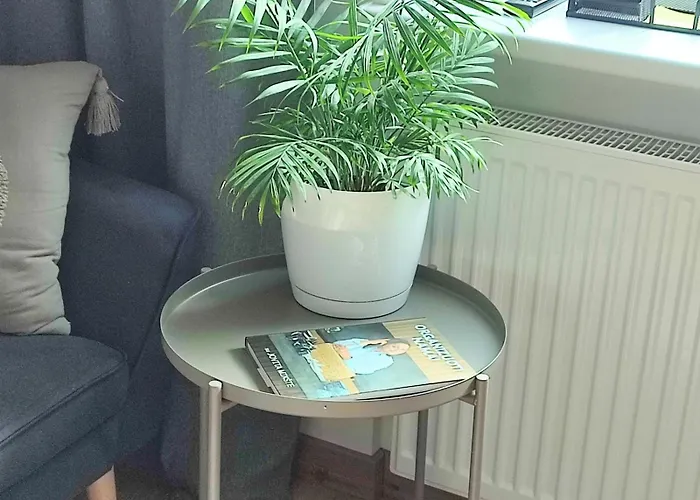 Miegu - Daire Druskininkai