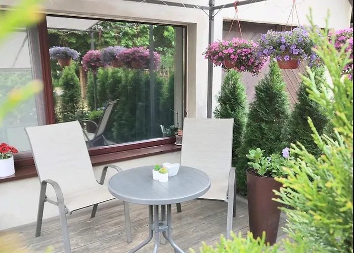 Miegu - * Druskininkai