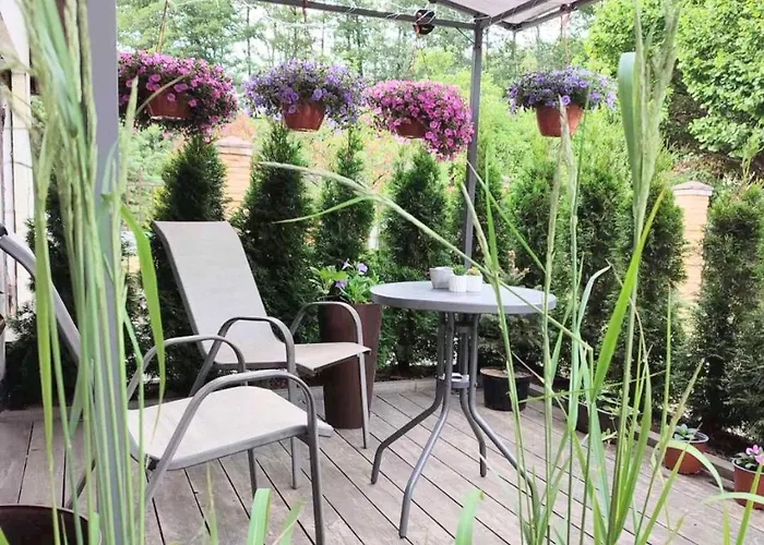 Miegu - * Druskininkai